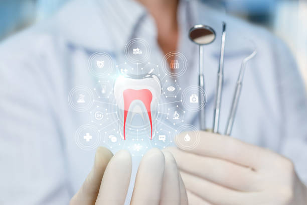 Reliable Bear Creek, FL Holistic Dental Care Services Solutions